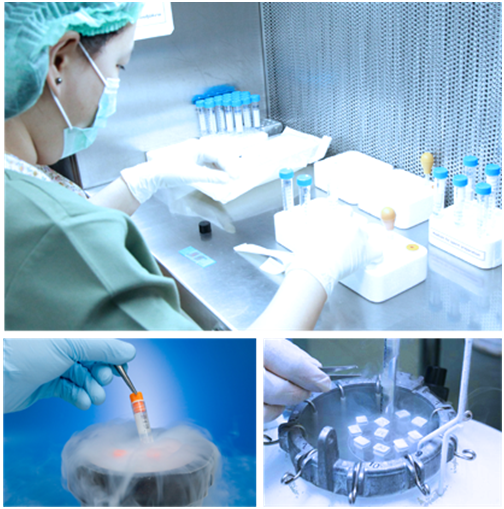 40岁夫妻赴泰试管喜获双胎，10年求子路终成功