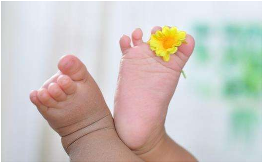 FSH值高怎么办?可以做试管婴儿吗?