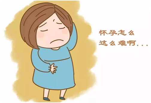 甲状腺功能是啥?做试管婴儿为什么要查甲状腺?